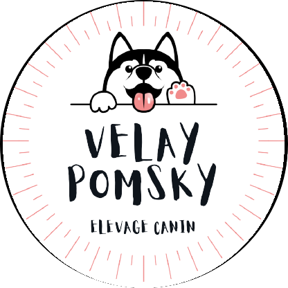 ELEVAGE VELAY POMSKY
