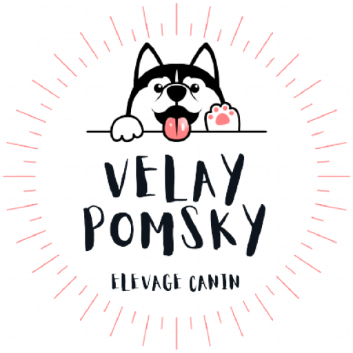 ELEVAGE VELAY POMSKY